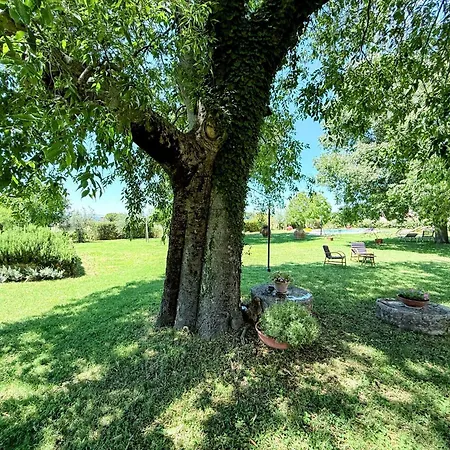 مزرعة للإقامة Exclusive Pool-open Year-spoleto Biofarm-slps 8-village Shops, Bar1 Km